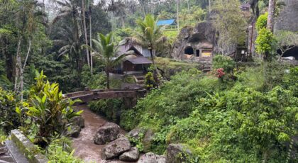 Scenic view of tropical jungle with a rustic bridge and stream, nestled amid lush greenery.